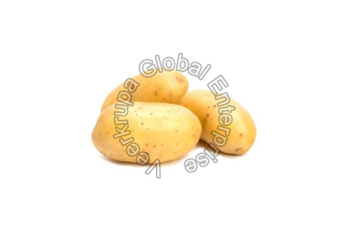 Fresh Raw Potato Manufacturers