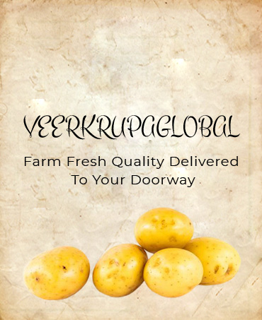 Potato Manufacturers In India