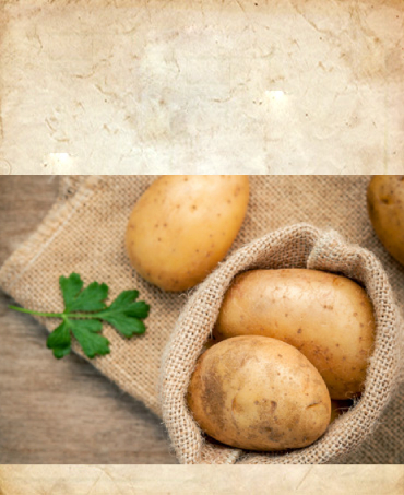Potato Manufacturers In Kannauj